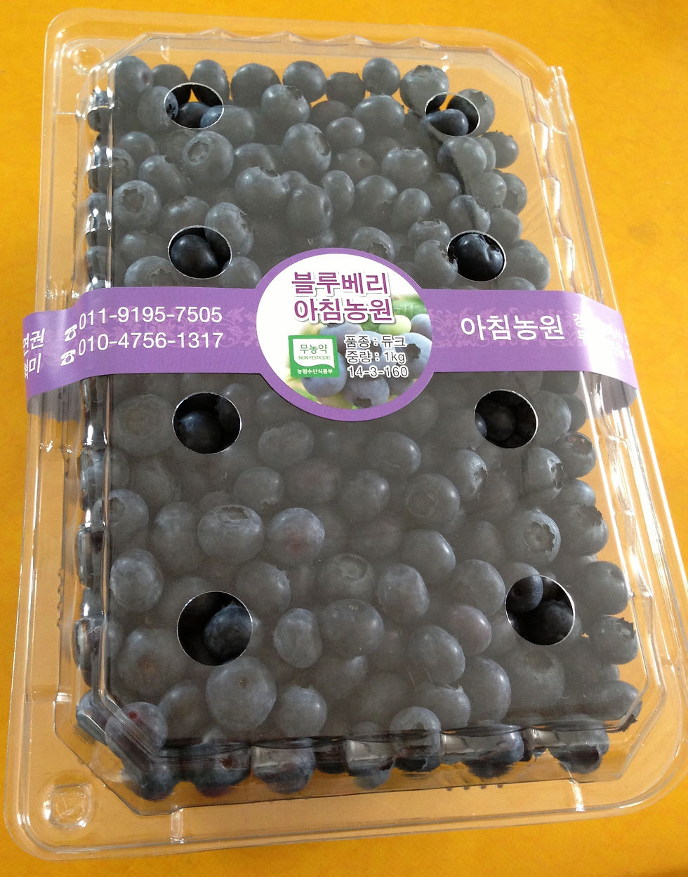1kg 벌크 포장된 블루베리 상품